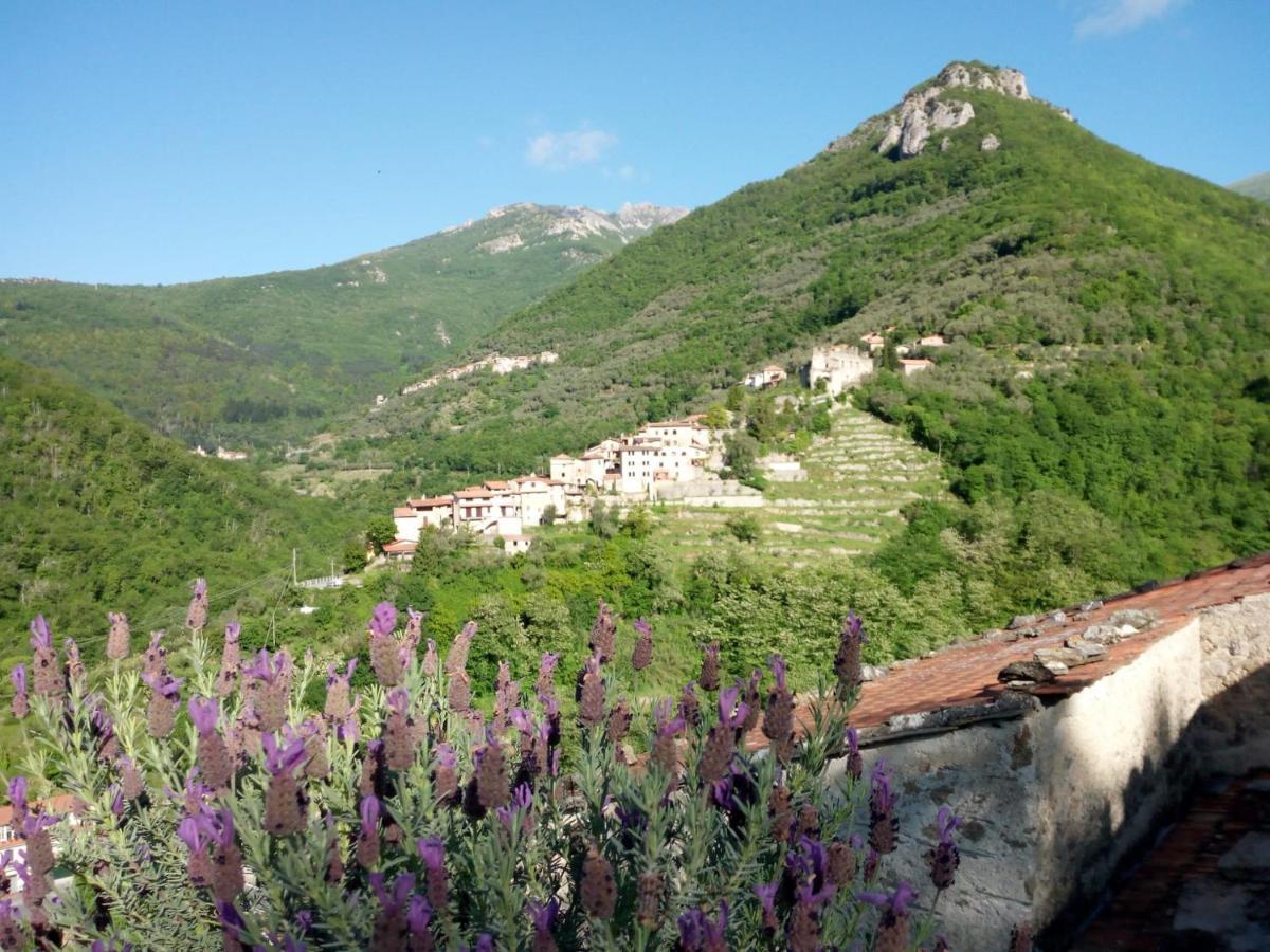 Lo Sporting Bed&Breakfast Nasino Экстерьер фото